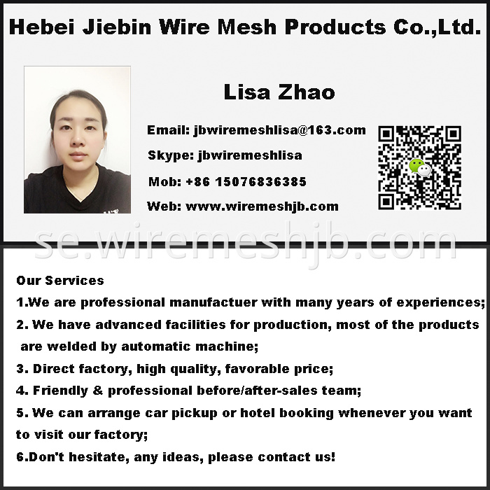 Stainless Steel Wire Mesh Metal Conveyor Belt